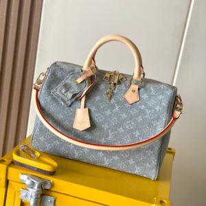 LV Speedy Soft Handbag Gray Canvas