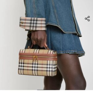mini check vanity bag